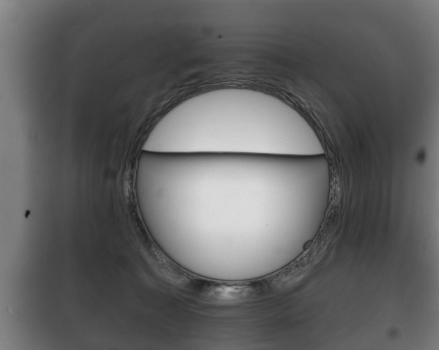 X0000100410323200806060931