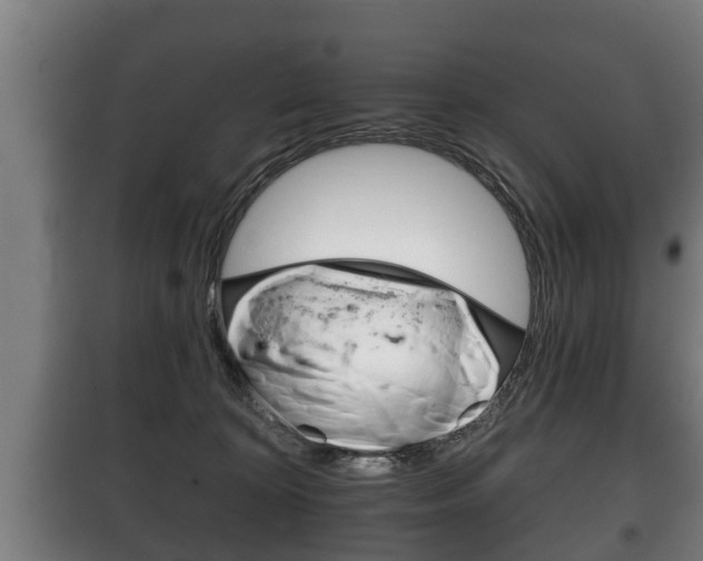 X0000100410324200806060931