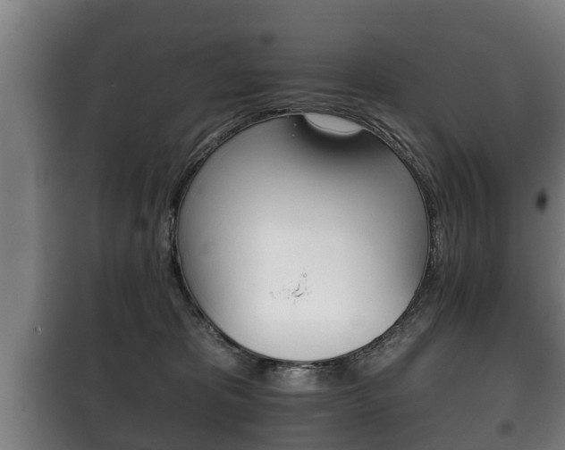 X0000100410325200806060931