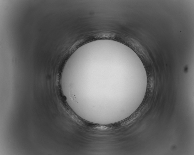 X0000100410326200806060931