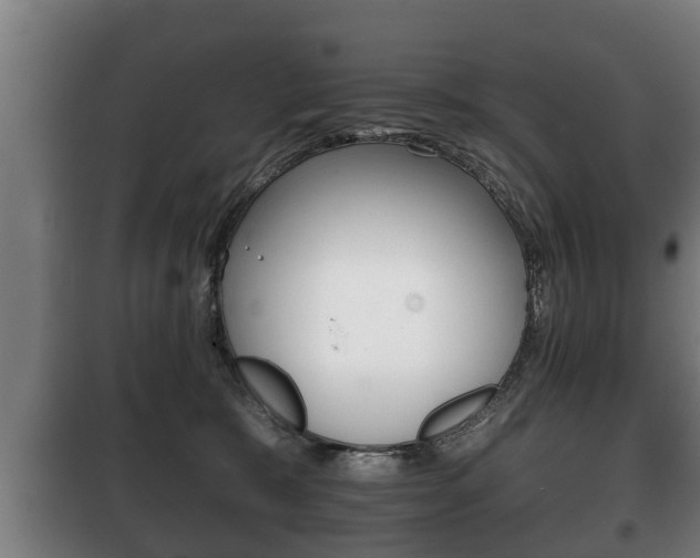 X0000100410327200806060931