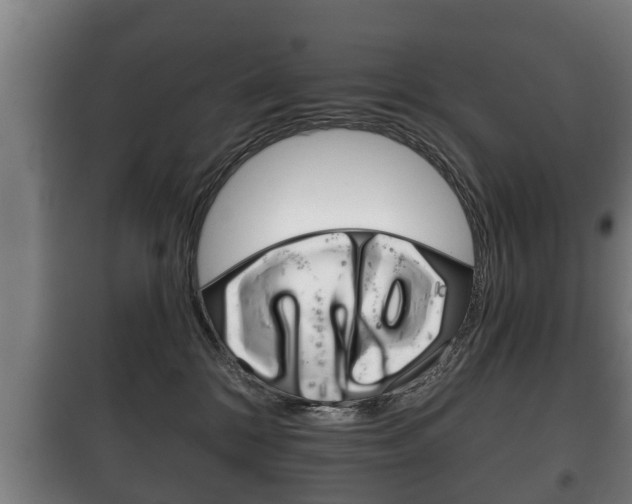 X0000100410328200806060931