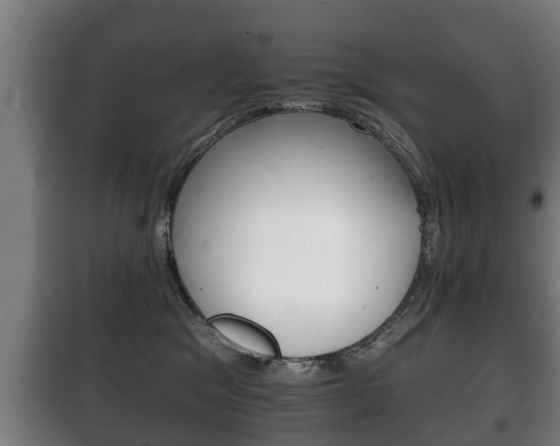 X0000100410329200806060931