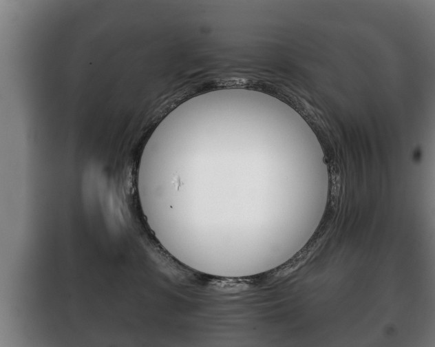 X0000100410331200806060931