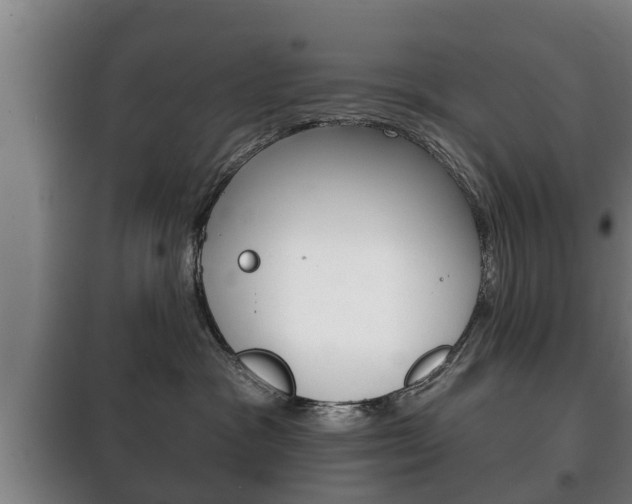 X0000100410333200806060931