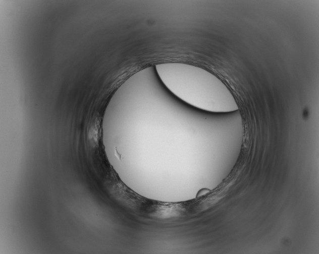 X0000100410334200806060931