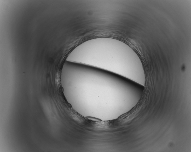 X0000100410335200806060931
