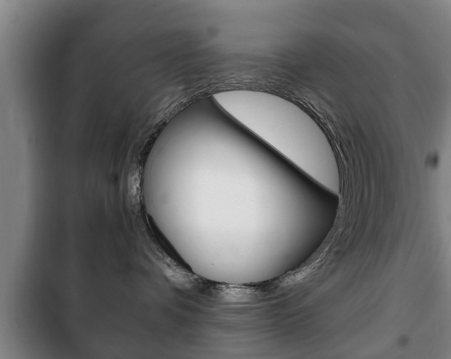 X0000100410336200806060931