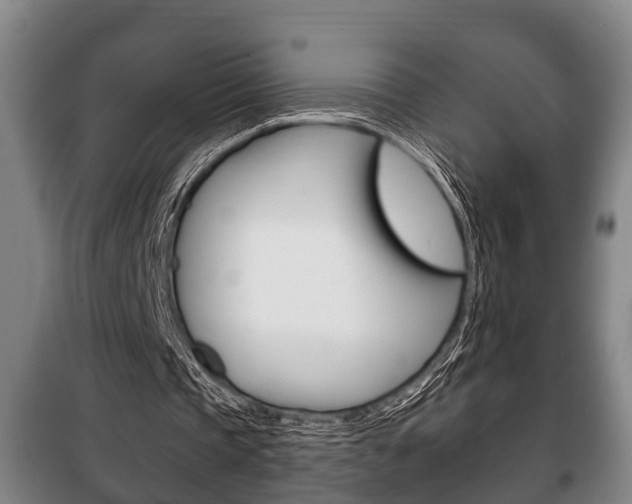 X0000100410337200806060930
