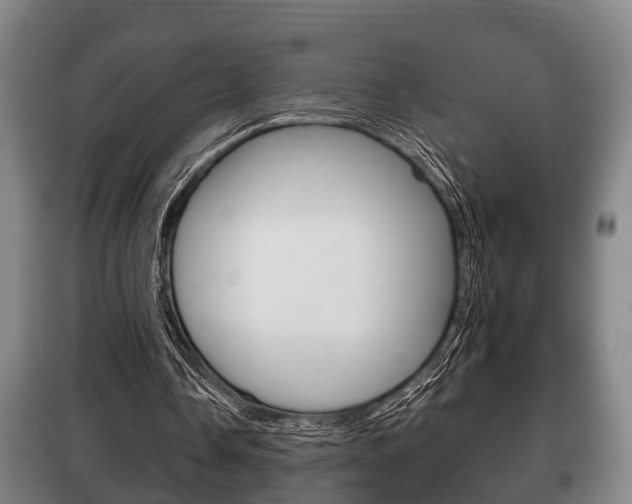 X0000100410338200806060930