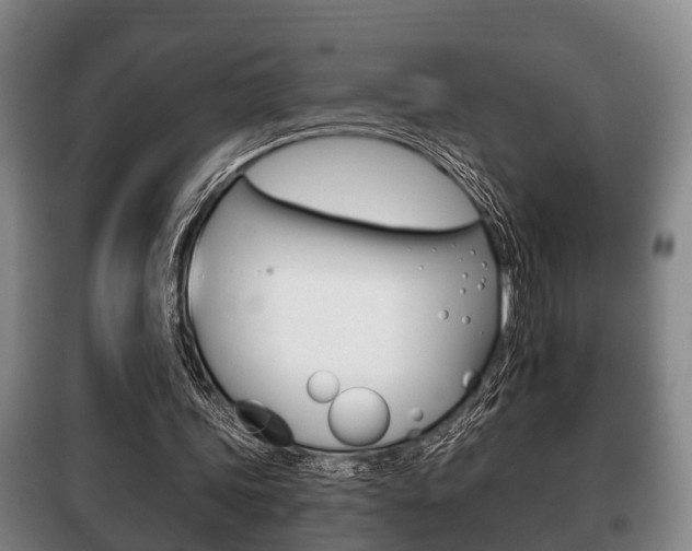 X0000100410339200806060930