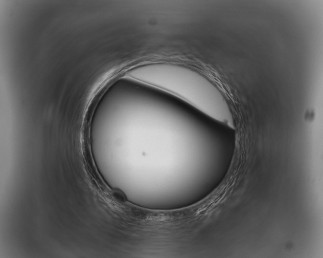 X0000100410340200806060930