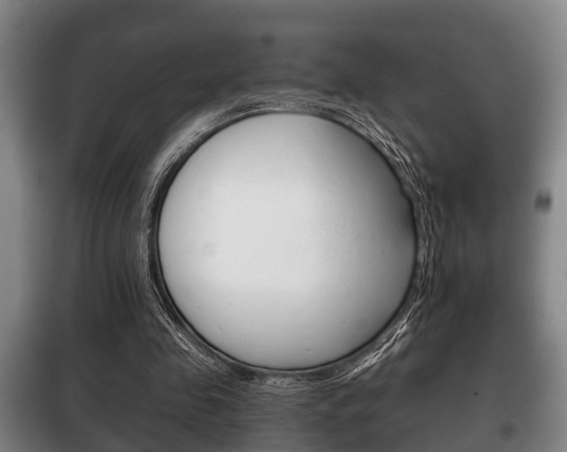 X0000100410341200806060930