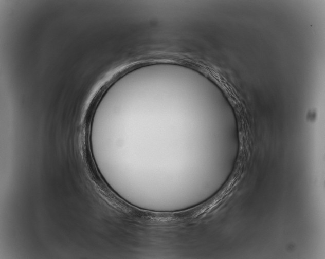 X0000100410342200806060930