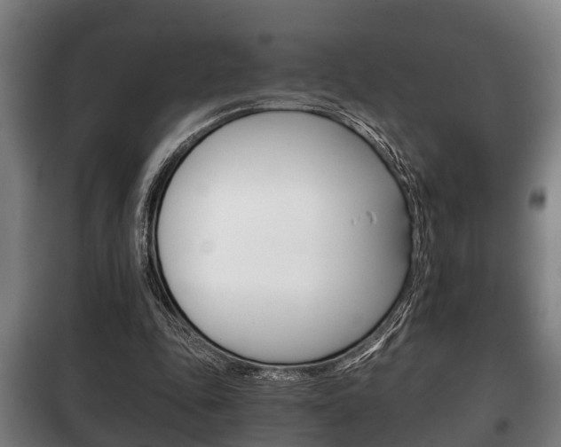X0000100410343200806060930