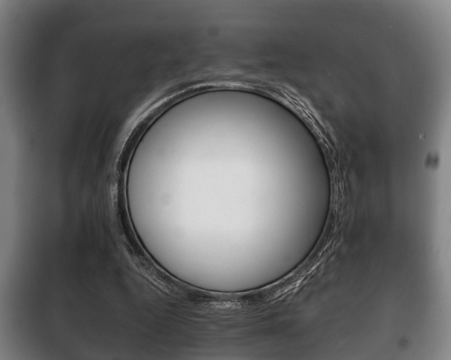 X0000100410344200806060930