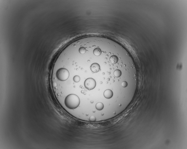 X0000100410346200806060930