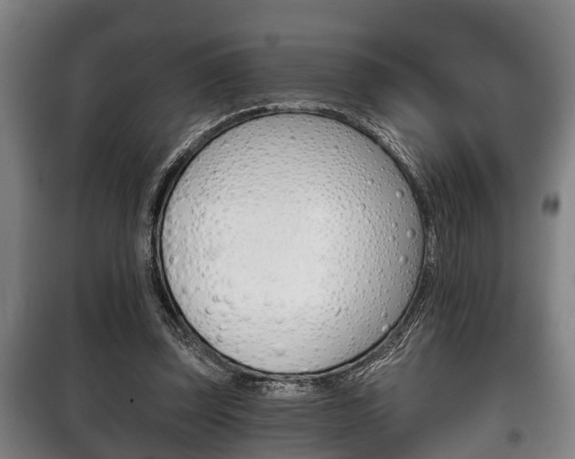 X0000100410347200806060930