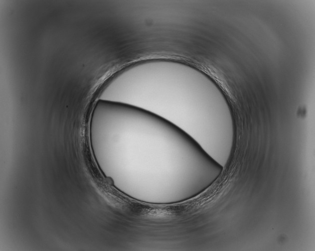 X0000100410348200806060930