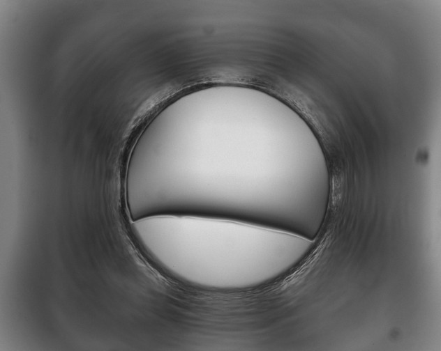 X0000100410349200806060930