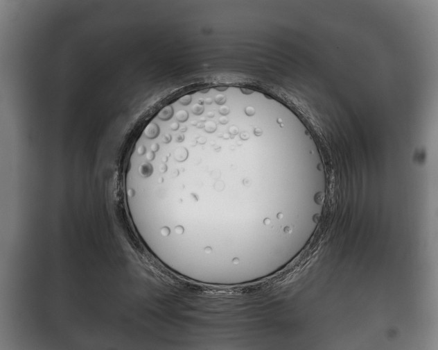 X0000100410351200806060930