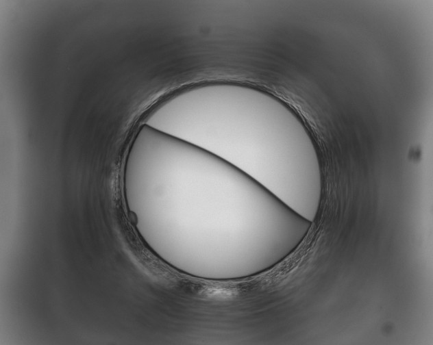X0000100410352200806060930