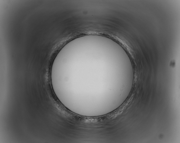 X0000100410353200806060930