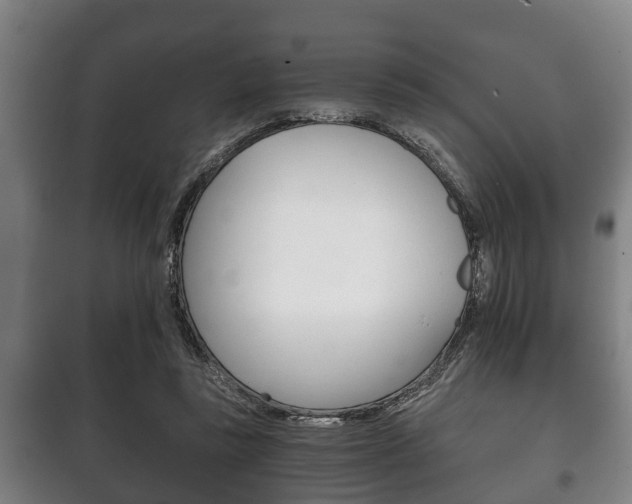 X0000100410355200806060930