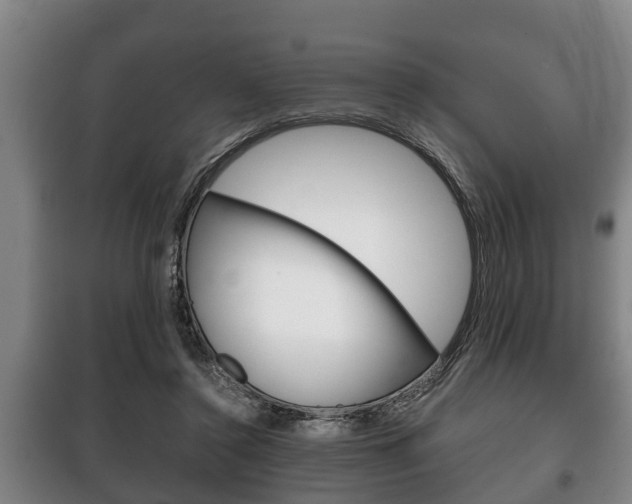 X0000100410356200806060930