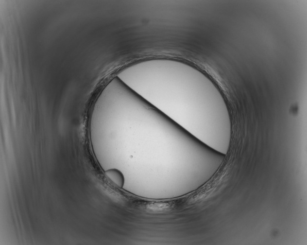 X0000100410357200806060930