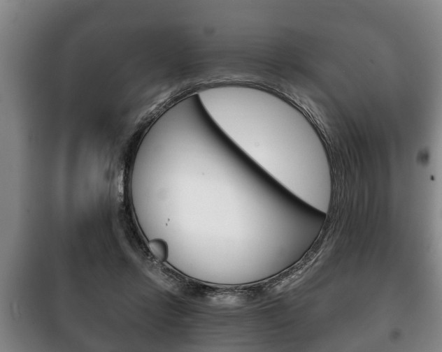 X0000100410358200806060930