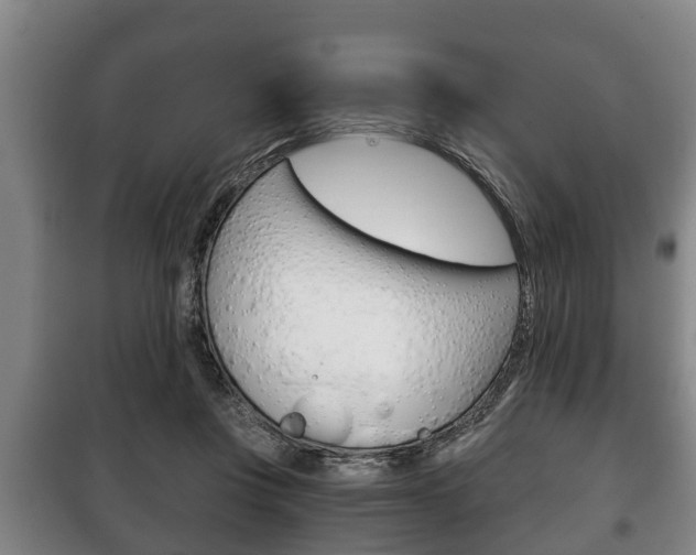X0000100410359200806060930