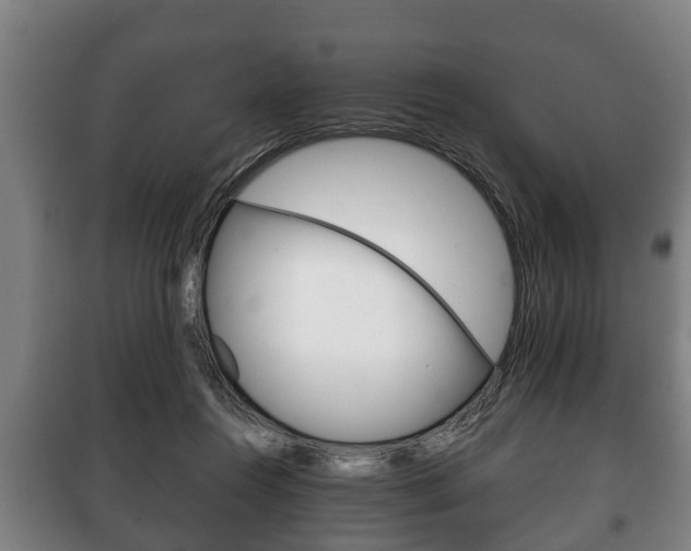 X0000100410360200806060930