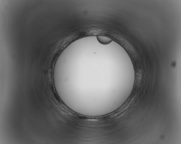 X0000100410361200806060930
