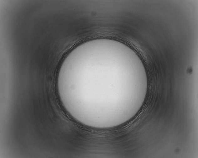 X0000100410362200806060930