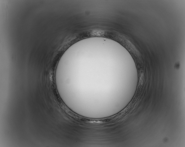 X0000100410363200806060930