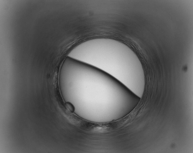 X0000100410364200806060930