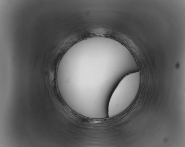 X0000100410365200806060930