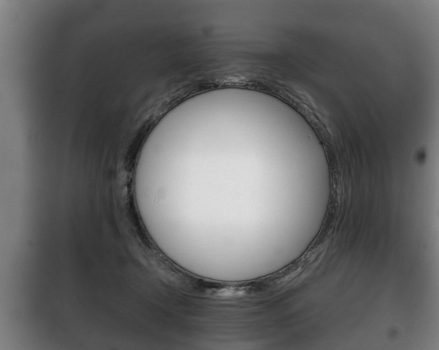 X0000100410366200806060930