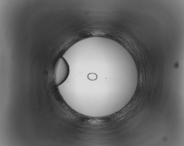 X0000100410367200806060930