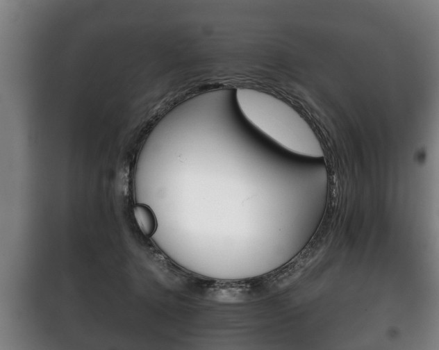 X0000100410368200806060930