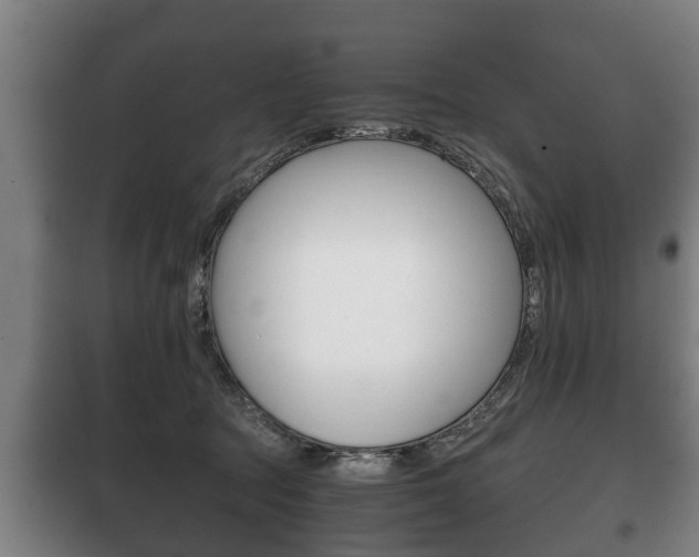 X0000100410369200806060930