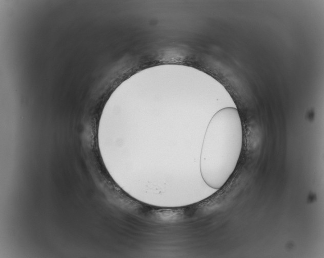 X0000100410370200806060930