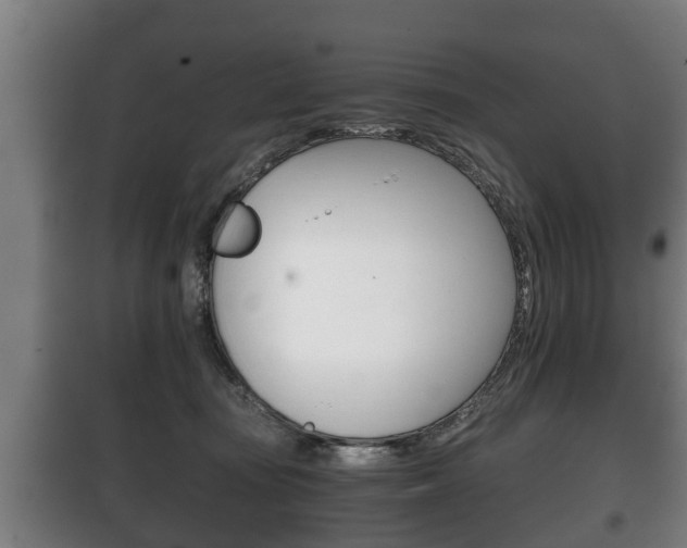 X0000100410371200806060930