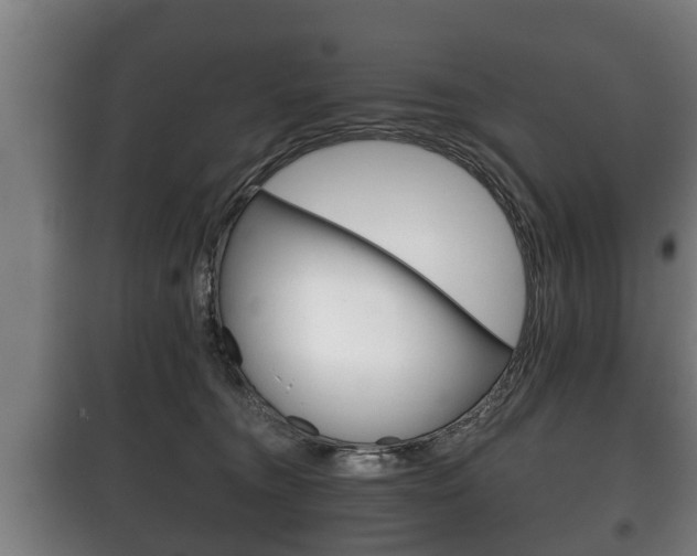X0000100410372200806060930