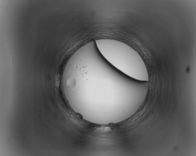 X0000100410374200806060931
