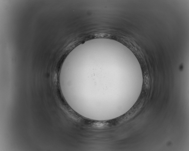 X0000100410375200806060931