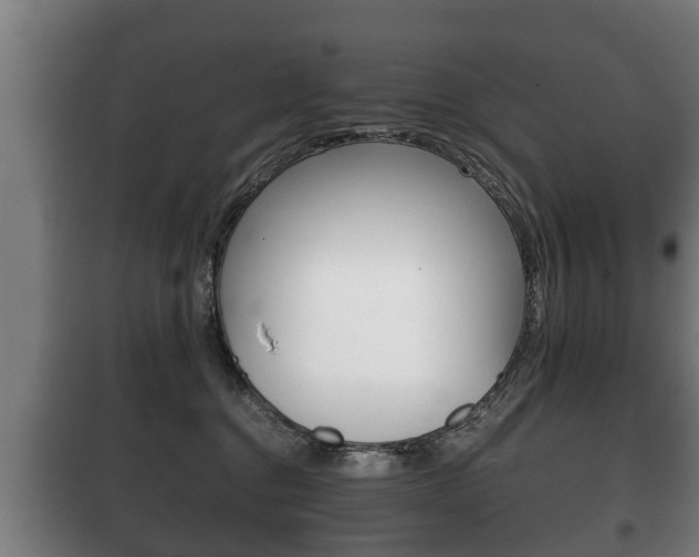 X0000100410376200806060931