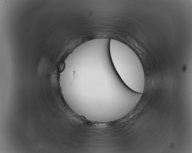 X0000100410377200806060931