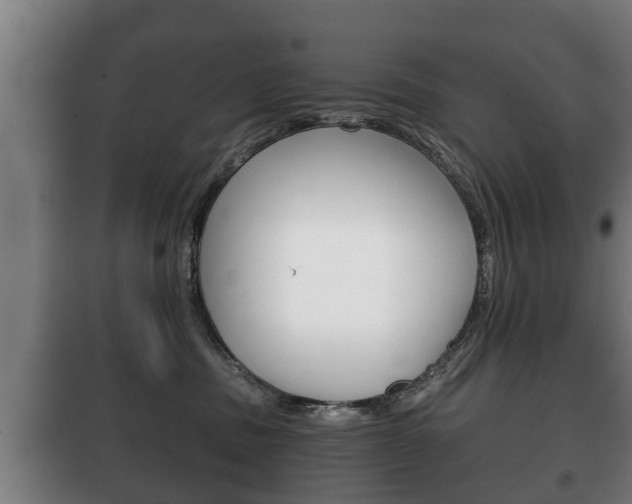 X0000100410379200806060931